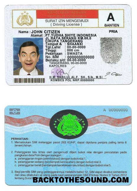 Scarica Indonesia Patente di guida Campione design