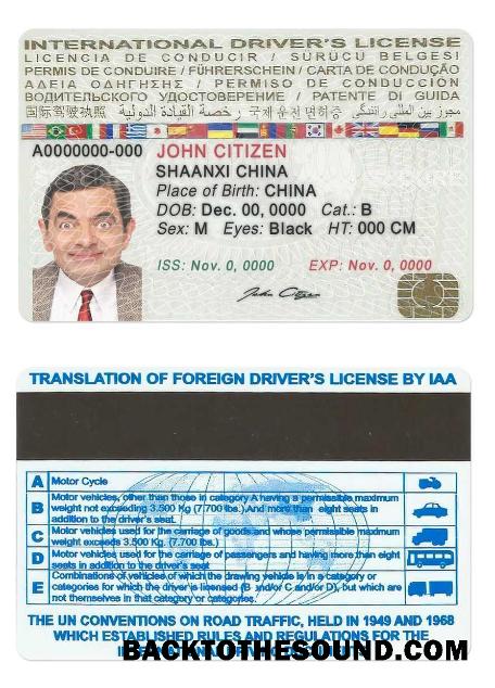 Scarica internazionale driver’s Licenza Campione mockup
