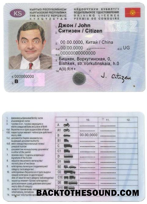 Scarica Kirghizistan Patente di guida Campione modello