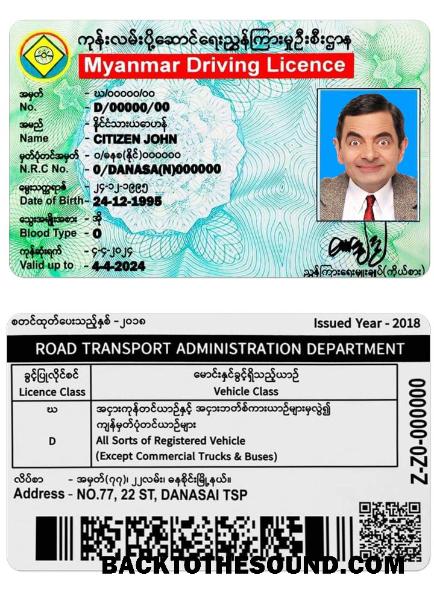 Scarica Myanmar DL Campione campione