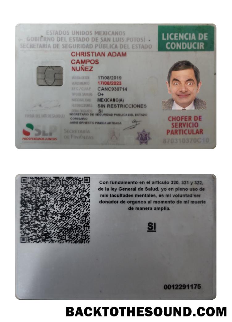 Scarica Messico Patente di guida 2019 Presente Campione anteprima