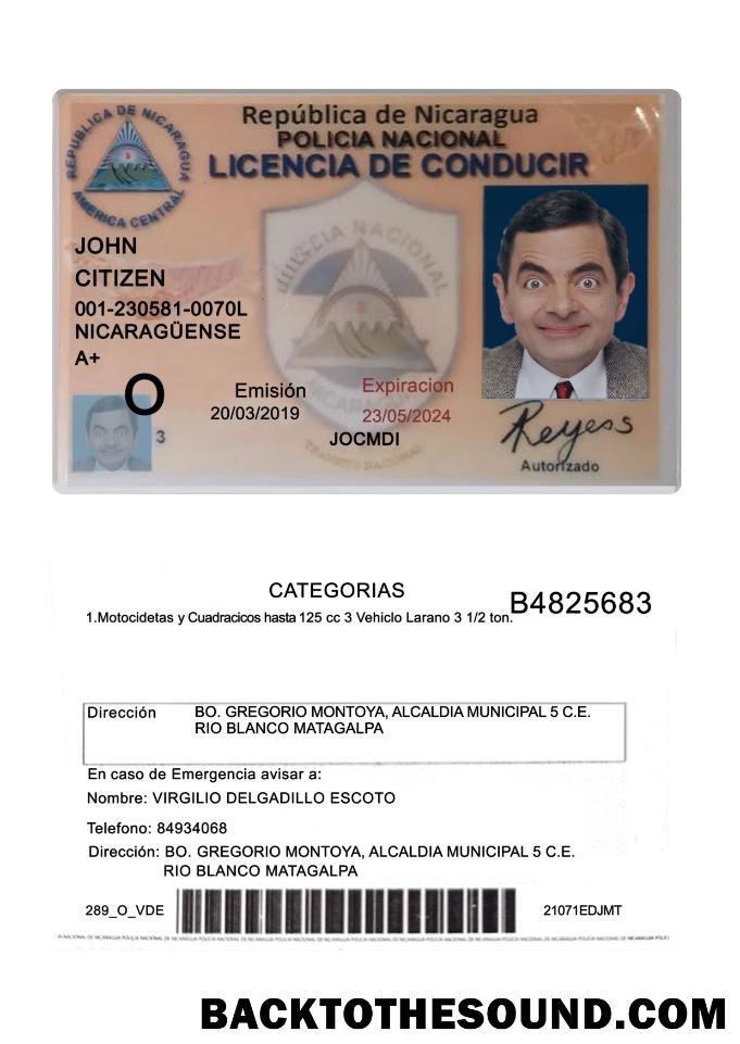 Scarica Nicaragua Patente di guida 2019 Presente Campione anteprima
