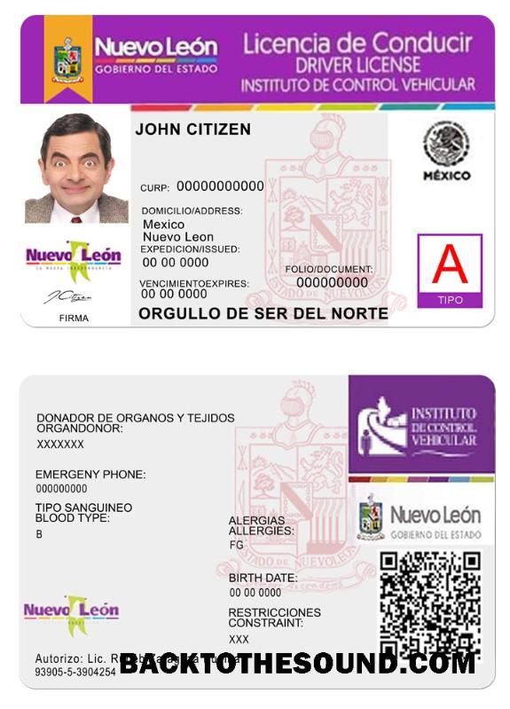 Scarica Nuevo Leon Patente di guida Campione mockup