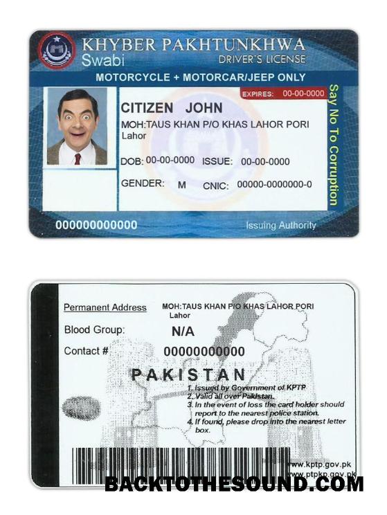 Scarica Pakistan driver Licenza Campione campione