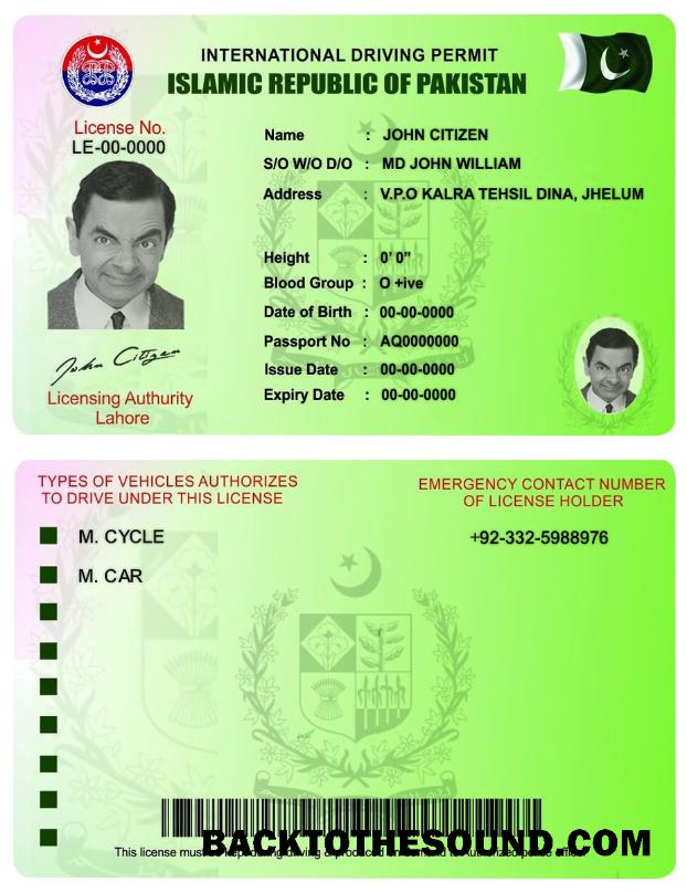 Scarica Pakistan internazionale Patente Permesso Campione design