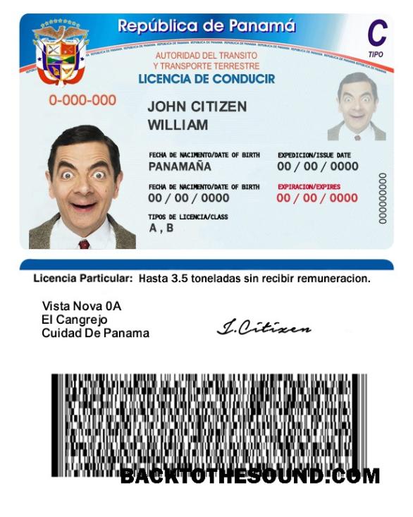 Scarica Panama Patente di guida Campione modello