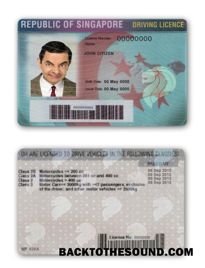 Scarica Singapore Patente di guida Campione modello