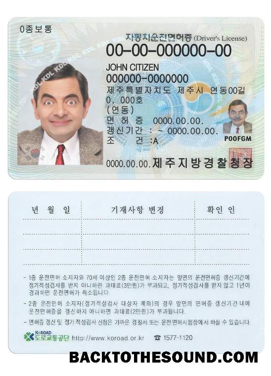 Scarica Corea del Sud Patente di guida Campione mockup