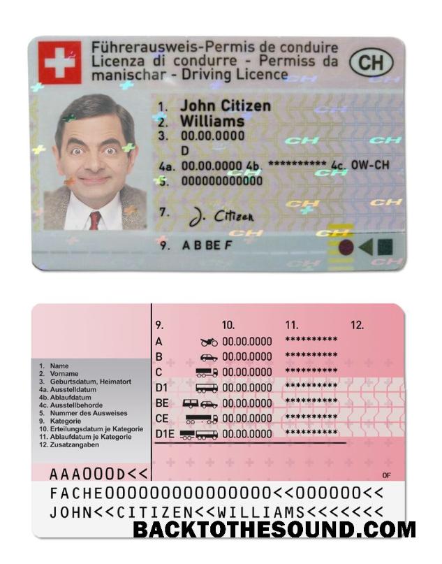 Scarica Svizzera Patente di guida Campione modello