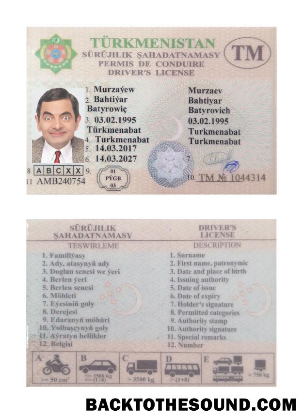 Scarica Turkmenistan Patente di guida Campione anteprima