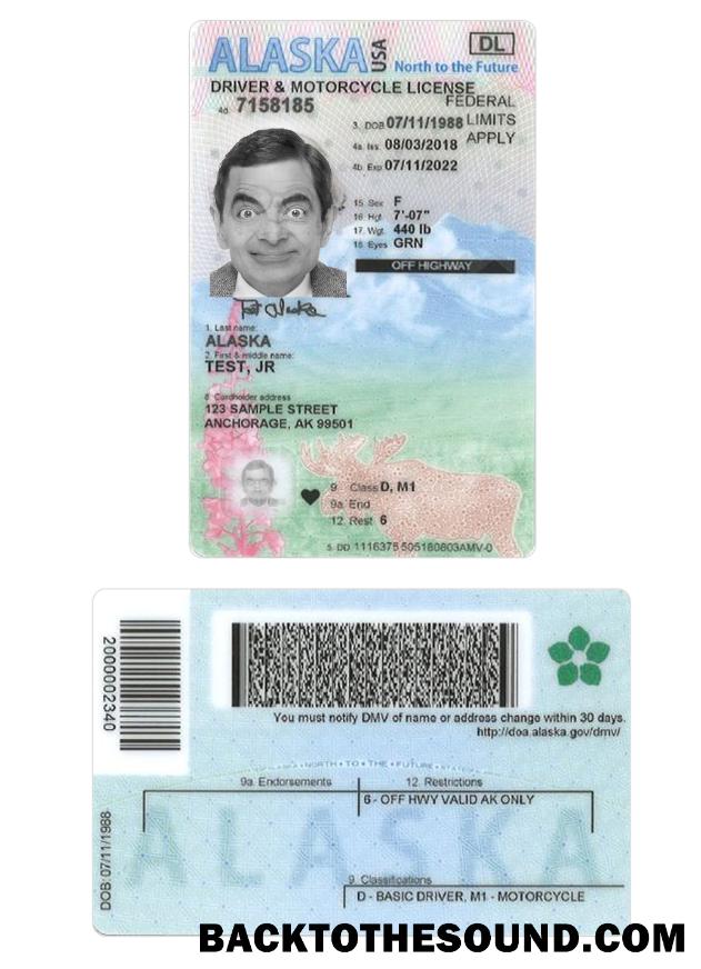 Scarica USA Alaska under 21 Patente di guida Campione modello