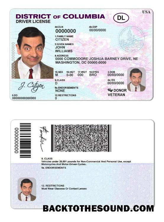 Scarica USA District of Columbia Patente di guida Campione design