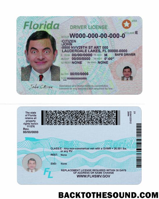 Scarica USA Florida Patente di guida 2018 Presente Campione anteprima