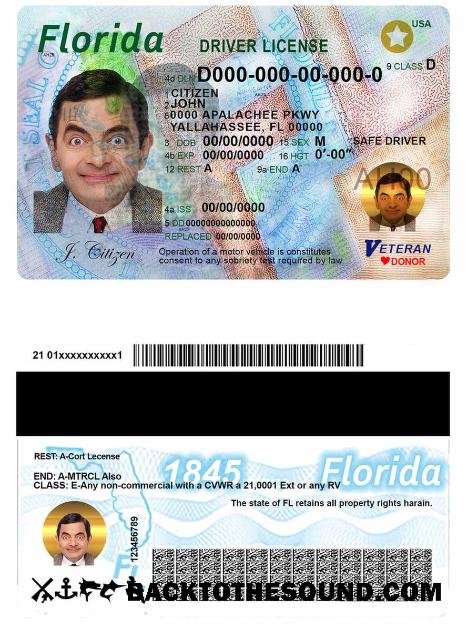 Scarica USA Florida Patente di guida Campione campione