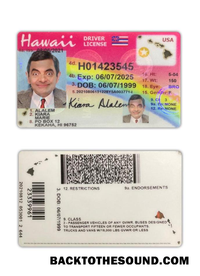 Scarica USA Hawaii Patente di guida 2021 Presente Campione modello