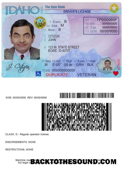 Scarica USA Idaho driver Licenza Campione design