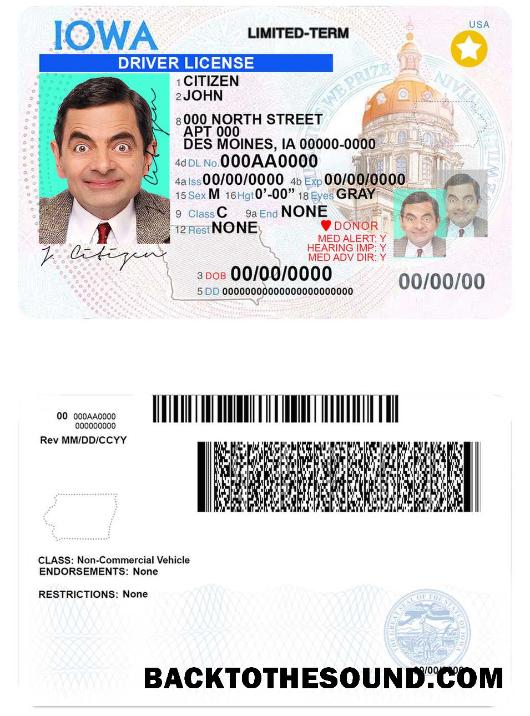 Scarica USA Iowa Patente di guida Campione mockup