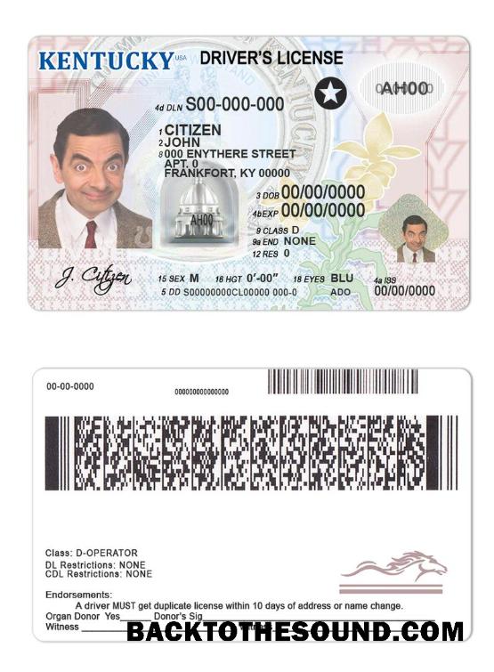 Scarica USA Kentucky Patente di guida Campione design