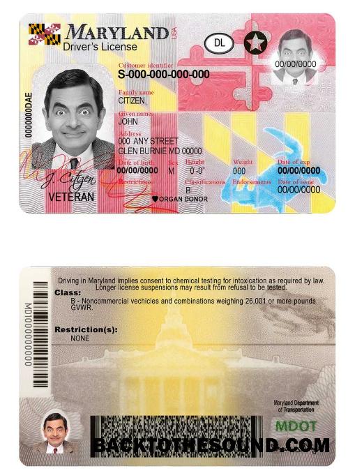 Scarica USA Maryland Patente di guida Campione modello