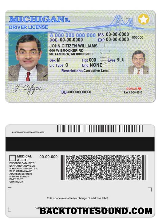 Scarica USA Michigan Patente di guida Campione anteprima