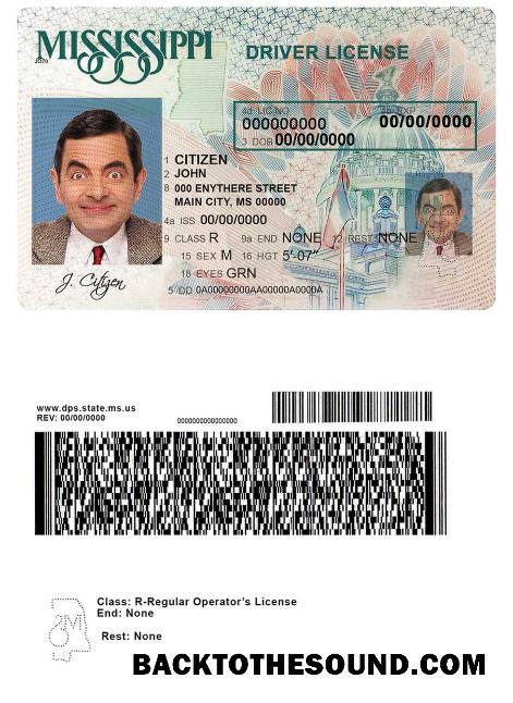 Scarica USA Mississippi Patente di guida Campione anteprima