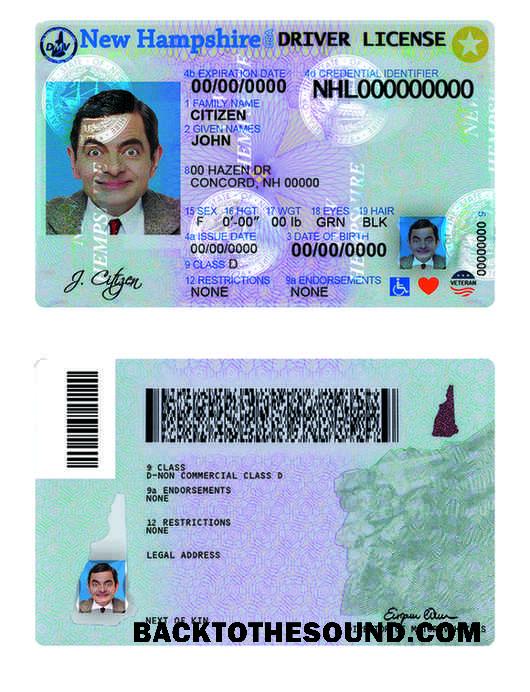 Scarica USA Nuovo Hampshire Patente di guida Campione anteprima