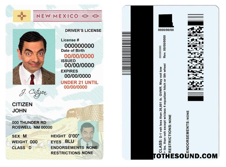 Scarica USA State Nuovo Messico Patente di guida in PSD Formato, under 21 Campione mockup