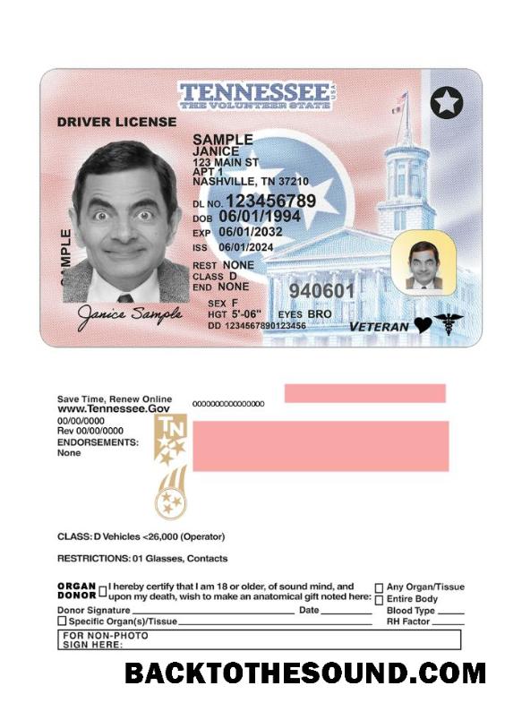 Scarica USA Tennessee Patente di guida 2024 Presente Campione anteprima