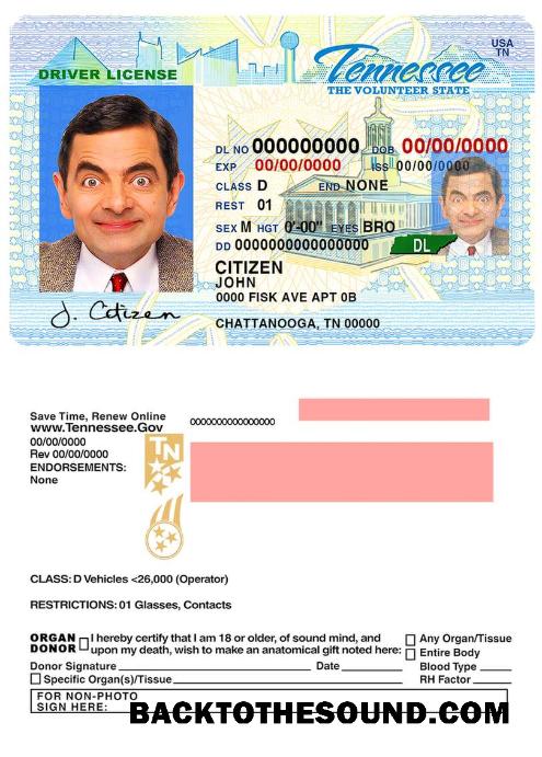 Scarica USA Tennessee Patente di guida Campione modello