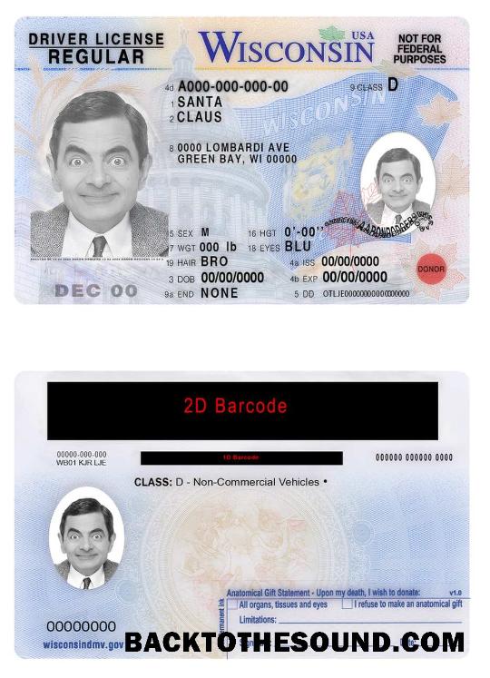 Scarica USA Wisconsin Patente di guida Campione mockup