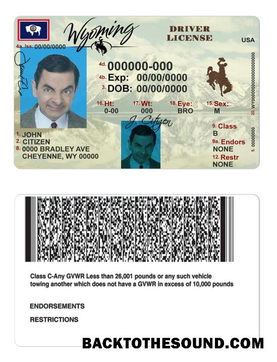 Scarica USA Wyoming state Patente di guida Campione modello