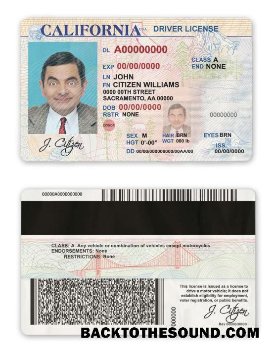 Scarica USA state California driver Licenza Campione design