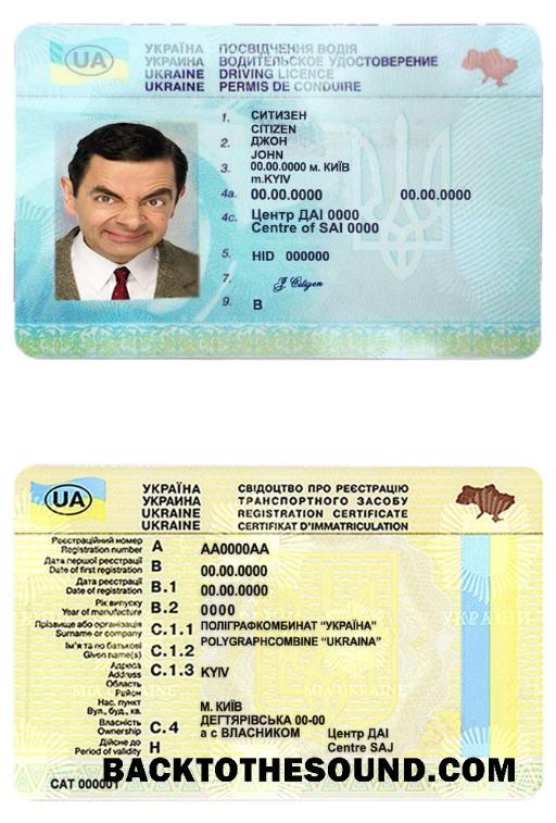 Scarica Ucraina Patente di guida Campione design