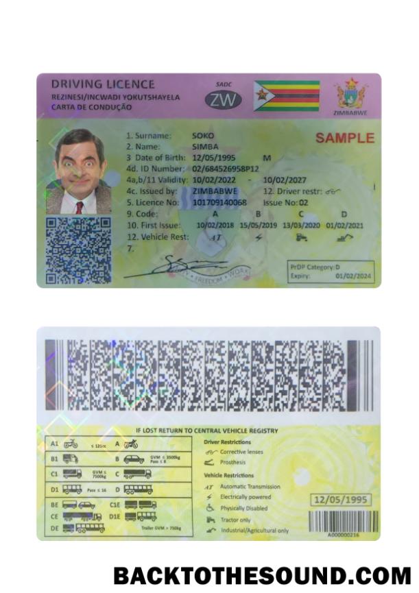 Scarica Zimbabwe Patente di guida Campione modello