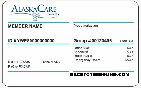 Scarica Alaska Salute Assicurazione Carta Campione design