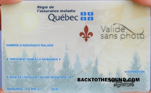 Scarica Canada Quebec Salute Assicurazione Carta Campione campione