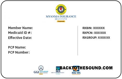Scarica Myanmar Salute Assicurazione Carta Campione mockup