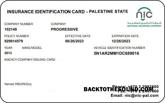 Scarica Palestina State Salute Assicurazione Carta Campione mockup
