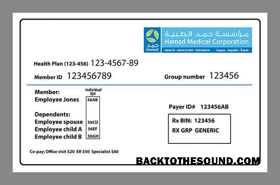 Scarica Qatar Salute Assicurazione Carta Campione campione