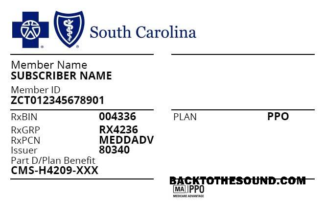 Scarica USA South Carolina Salute Assicurazione Carta Campione design
