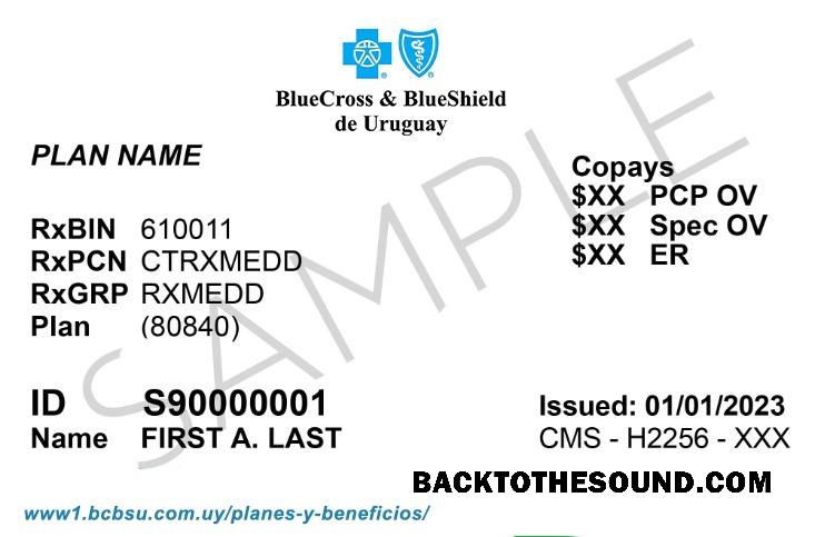 Scarica Uruguay Salute Assicurazione Carta Campione mockup