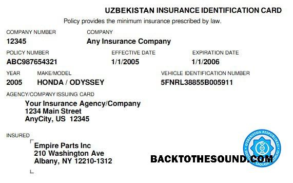 Scarica Uzbekistan Salute Assicurazione Carta Campione mockup
