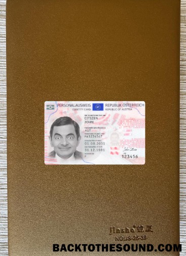 Scarica Austria ID 2021 Presente foto-look Fronte Campione mockup