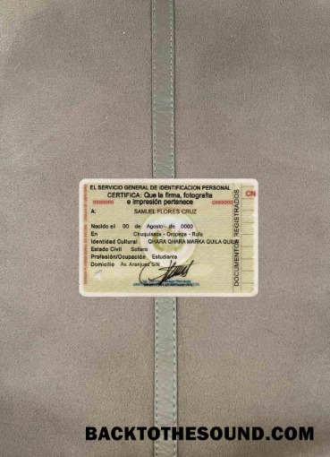 Scarica Bolivia ID foto-look Retro Campione mockup