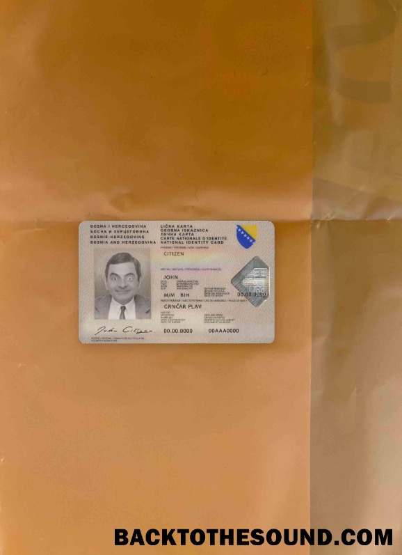 Scarica Bosnia ed Erzegovina ID foto-look Fronte Campione design