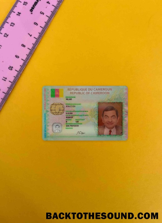 Scarica Camerun ID foto-look Fronte Campione modello