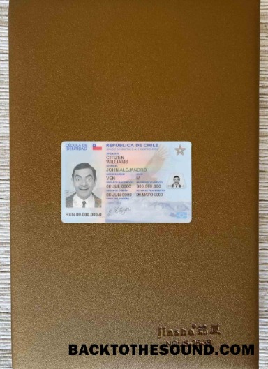 Scarica Cile ID foto-look Fronte Campione design