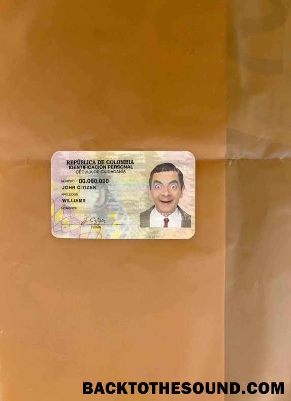 Scarica Colombia ID (2010 – 2020) foto-look Fronte Campione design