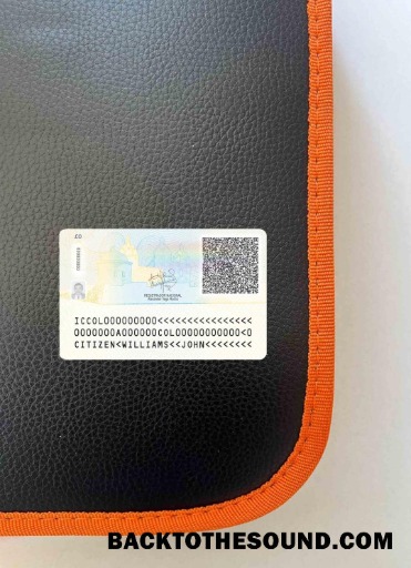 Scarica Colombia ID (2020 – Presente) foto-look Retro Campione design