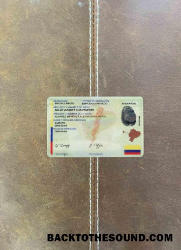 Scarica Ecuador ID foto-look Retro Campione anteprima
